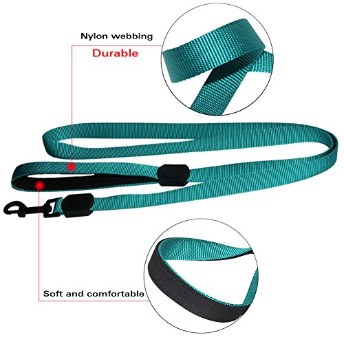 Fashion&Cool Cane Collare e Cane Guinzaglio in