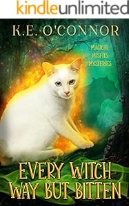 Every Witch Way but Bitten (Magical Misfits Mysteries Book 3)