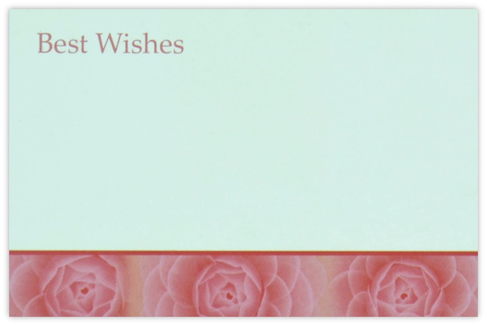 celloexpress Best Wishes (Pink Roses) Flower Message Cards - 60mm x 90mm - Everyday Occasions Florist Card Gift Notes (Pack of 50) — image 1