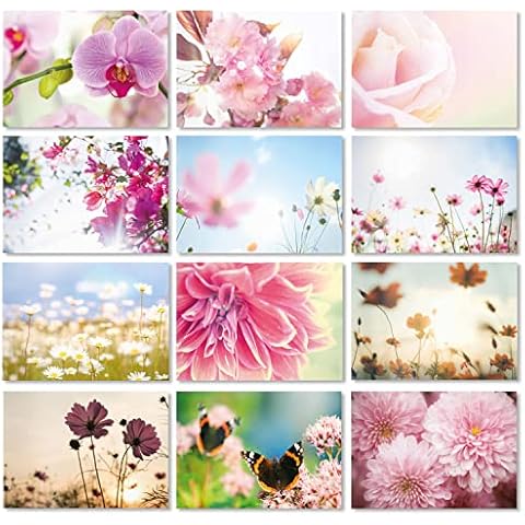 24er-Postkarten-Set mit Blumen-Motiven | DIN A6 Format | Grußkarte | Motivationskarte | Sommer | Rückseite mit Linien für Adressfeld | dv_314 Cover