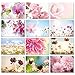 Produktbild #detailverliebt 2 x 12 Postkarten Blumen neutral I dv_314_Blumen