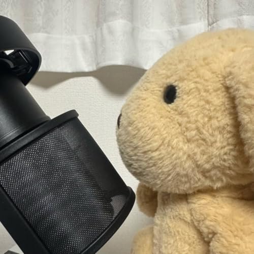 #23 お墓参り、ととのう時間