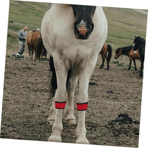 Supvox Led Pferdebeinband 4 Stück Leuchtende Reflektierende Bänder 13.39X1.61X0.08 Zoll Nacht-Sicherheitsgurt Für Reiten Und Outdoor Aktivitäten