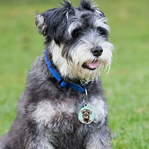 Kinyablue Personalized Dog Tags, Print Round Stainless Pet Id Tags, Dog Name Tags, Custom Dog Tags,Engraved On Both Sides,For French Bulldog, Medium Size #TOP6