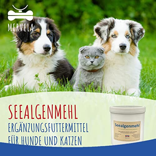 MERVELA Seealgenmehl Hunde | 500 Gramm | Mineralien Algen Hund | unterstützt Maul, Fell, Haut und Schilddrüse | optimales Barf Zusatz | Barf Pulver Futterzusatz | Barf Complete Nahrungsergänzung