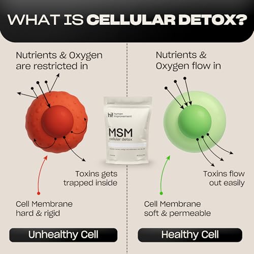 Human Improvement Pure MSM Powder
