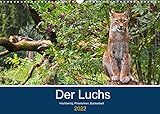 backenbart kaufen PERFEKTES GESCHENK - Unsere Kalender sind als Geschenk für den Freund, die Freundin, den Mann, die Frau, Ehemann und Ehefrau, für den Jahrestag, Geburtstag, den Hochzeitstag, zur Verlobung, zum Einzug, für Kinder und Erwachsene, für frisch Verliebte oder ein altes Ehepaar, für Oma und Opa, für Papa und Mama, für jung und alt geeignet.