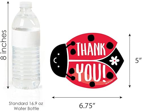 Miniatura 5 de Big Dot of Happiness Happy Little Ladybug - Tarjetas de agradecimiento con sobres, para baby shower o fiesta de cumpleaños, juego de 12