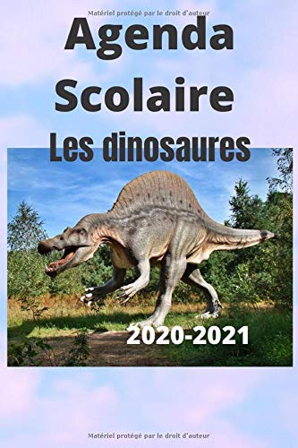 Télécharger Agenda Scolaire 2020-2021: Les Dinosaures-Agenda -Notebook- avec Calendrier -Format 6x9 Pouces-120 P PDF Ebook En Ligne