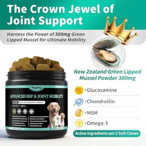 POPPAW Advanced Dog Joint Supplement – 15-in-1 Glucosamine for Dogs with Chondroitin, MSM & Green Lipped Mussel – Hip & Joint Pain Relief Mobility Chews, Beef Flavor, 90Ct Breeds — view 3
