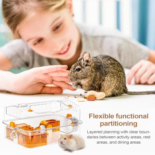 Habitat hamster transparent anti-ennui pour l'exploration des rongeurs - 4