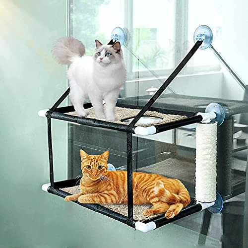 best cat bed for two cats