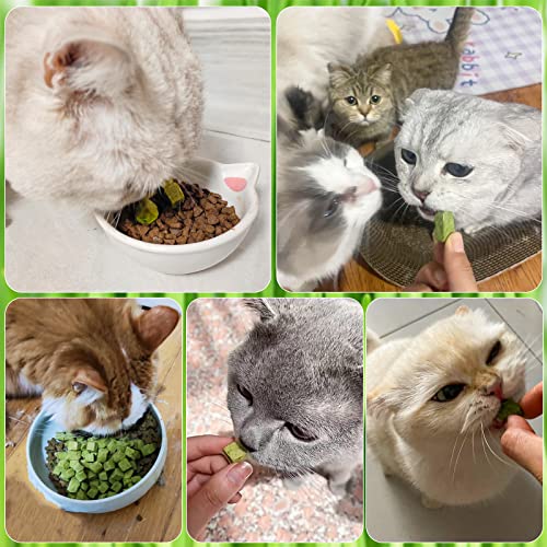 Katzengras Snack, 60g Katzengras Sticks Gefriergetrocknet Snacks für Katzen für die Zahnpflege und Haarknäuel Entfernen, Katzenminze