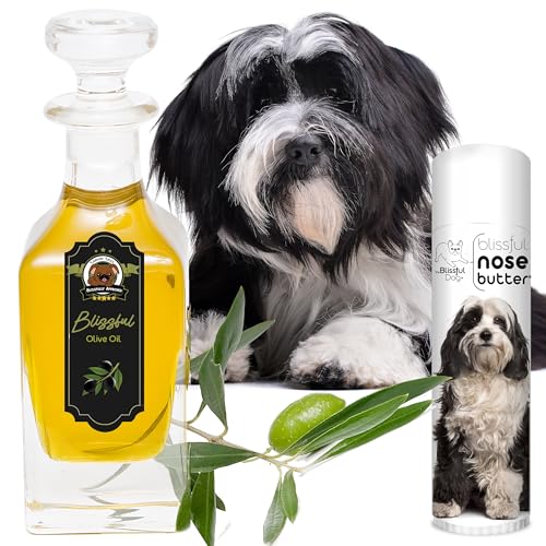 Image of The Blissful Dog Tibetan Terrier Unscented Nose Butter - Dog Nose Butter, 0.50 Ounce,UNSC-TIBTERR-50oz