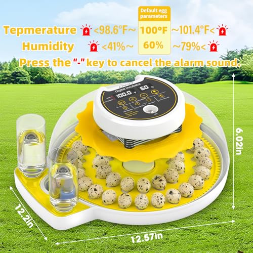 Image of Quail Egg Incubator for Hatching Eggs with Automatic Egg Turning and Humidity Control, 40 Quail Eggs Capacity Brooder Poultry Incubators, Also for Partridge, Parrot, Pigeon, and Other Types of Bird