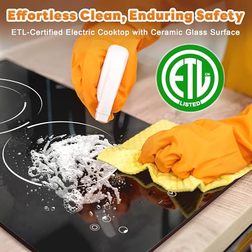 Image of 2 Burners Electric Cooktop, 110V Plug in Ceramic Cooktop, 12 Inch Countertop & Built-in Electric Stove Top with Dual-Ring Design, 9-Level Adjustment, Child Safety Lock, Timer, Overheat Protection