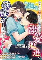 独占欲に火がついた御曹司が溺愛猛追で鉄壁ガードを崩してきます
