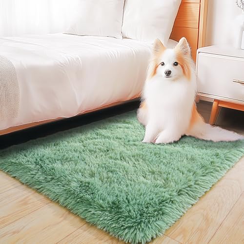 KING DARE 2x3 Area Rugs for Bedroom, Small Throw Rug for Dorm, Soft Shaggy Fluffy Plush Shag Fuzzy Non-Slip Washable Carpet for Bedside Closet Girls Boys Room, Sage Green Rug