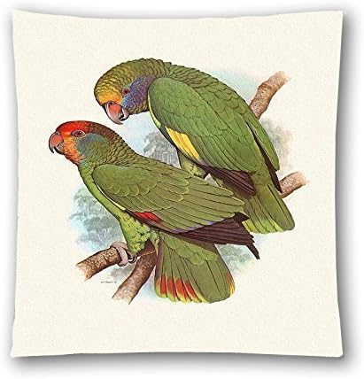 RYHJRT Two parrots in the branches Cotton Decorative Throw Pillow Case Cushion Cover 18 "X18 " Two Side