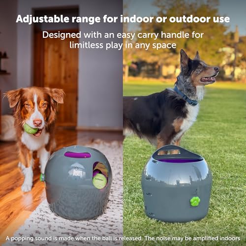PetSafe Automatic Ball Launcher - Interactive Dog Toy for Enrichment - Tennis Balls Included - Motion Sensor Promotes Safe Play - Indoor & Outdoor - Adjustable Range - A/C Adaptor or Batteries by PetSafe - Image 4