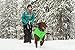 RUFFWEAR - Quinzee, Meadow Green, Medium