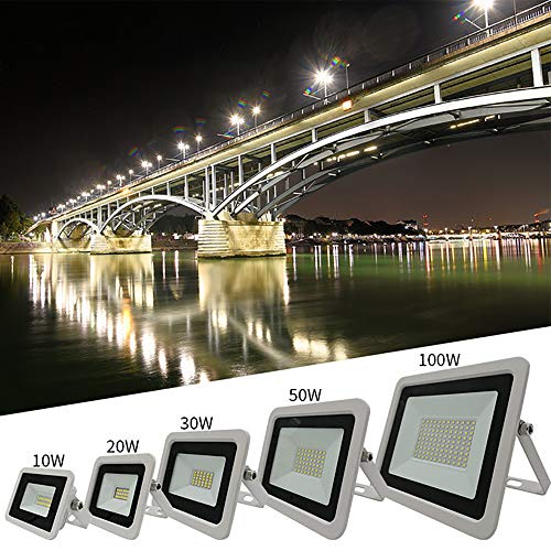 CTWUYOU 10W 20W 30W 50W 100W Faretto LED 220V