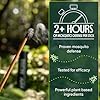 Murphy’s Naturals Mosquito Repellent Incense Sticks, Insect Repellent with Citronella for Outdoors, 2.5+ Hours of Burn Time per Stick, 0.33 oz, 24 Count #2