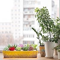 ARTKETTY Keramik-Sukkulenten-Blumentöpfe, 30 cm, modern, lang, rechteckig, Blumenbehälter mit Tablett, Flacher Kaktus-Bonsai-Fensterkasten mit Drainage, für Innen- und Außenbereich, Heimdekoration – Ansicht 7