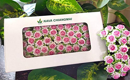 Nava Chiangmai Flowers Mini Rose Pink And White Color Mulberry Paper Flower For Scrapbooking, Wedding Card, Supplies, Embellishment, Craft Paper Flowers #TOP5