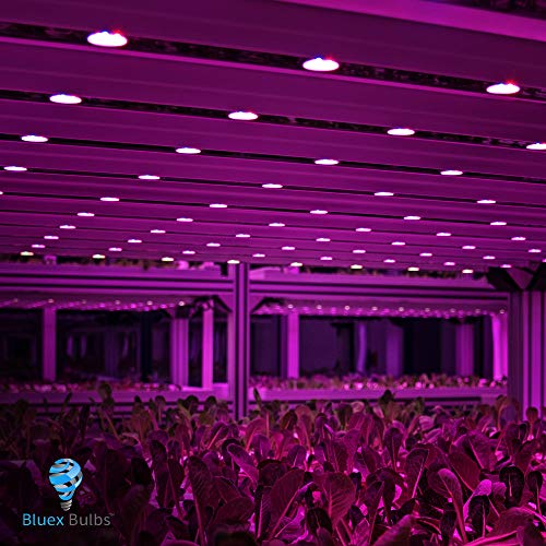 3 Pack Bluex 100W Led Grow Light Bulb A19 Bulb - Full Spectrum Grow Lamp - Grow Healthier & Yield Better Harvests For Diy Indoor Plants, Flowers, Greenhouse, Indore Garden, Hydroponic #TOP6