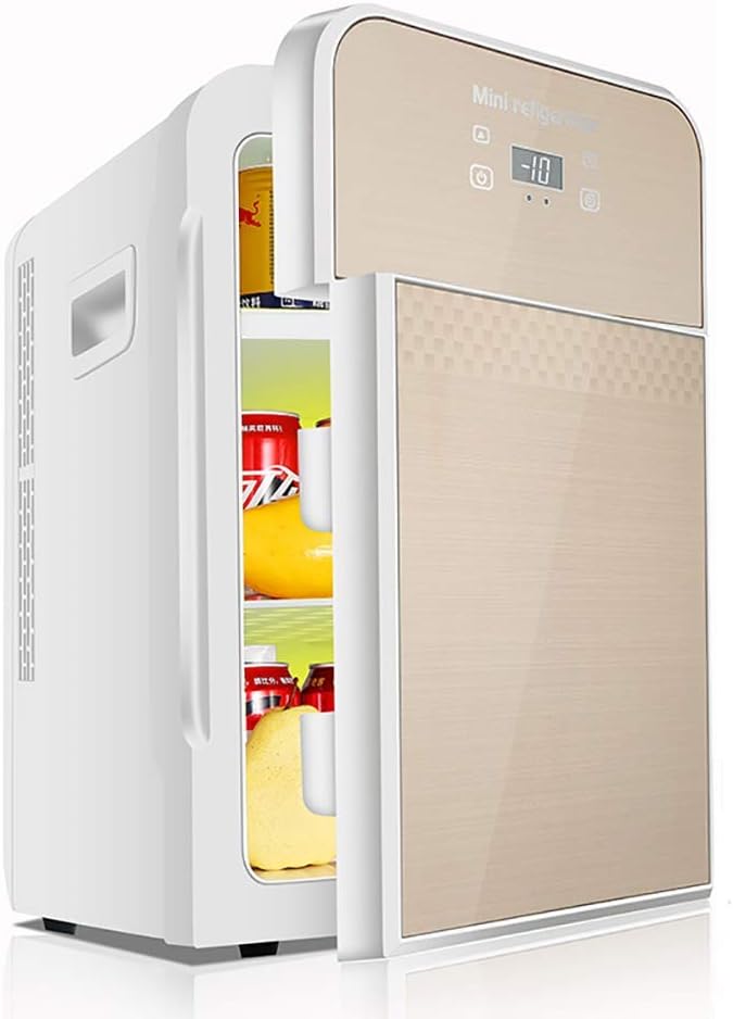 minifrigo per auto e casa