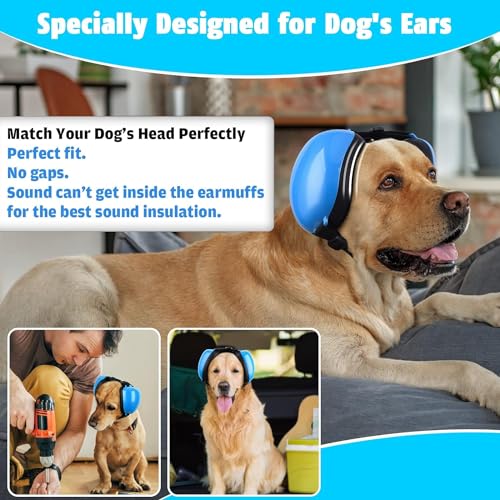 Bocinas, Sports Imagen adicional