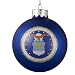 Kurt Adler Glass U.S. Air Force Ball Ornament, 80mm