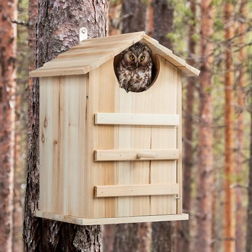 Caja nido para búhos de madera Relaxdays el refugio seguro contra depredadores y clima 3