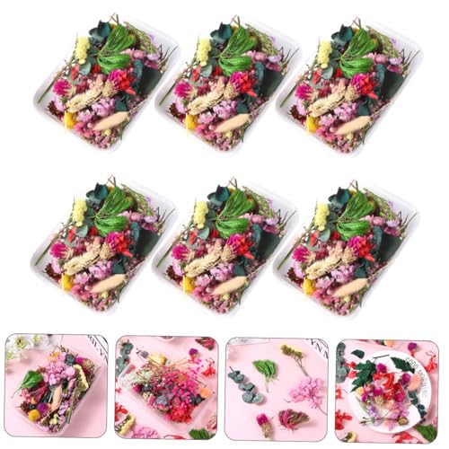 6 cajas flores naturales secas para manualidades y decoración miniatura 5