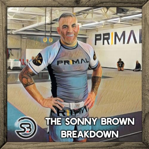 Ecological Approach to MMA Striking with Scott Sievewright