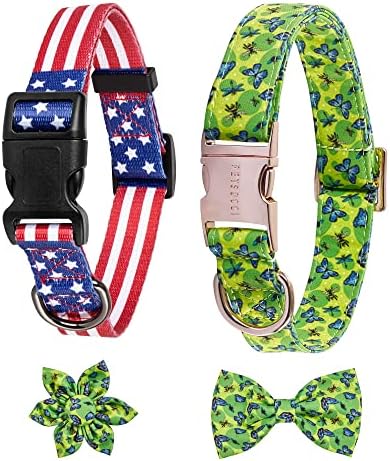 cool dog collar brands