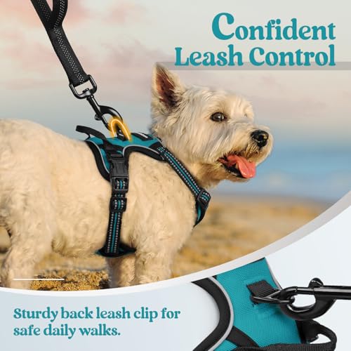 Image of rabbitgoo Dog Harness No Pull with 2 Leash Clips, Adjustable Soft Padded, Reflective Oxford No Choke Pet Vest with Easy Control Handle for Puppy, Teal, XS