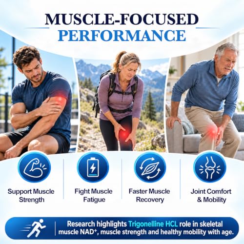 Nokvba Trigonelline NAD Supplement