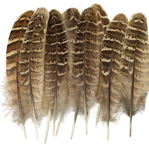 Natural Turkey Feather Luorng 20Pcs 5.9-7.9 Inches Natural Turkey Barred Feathers Crafts For Diy Crafts Making, Clothes Decoration, Family, Wedding, Birthday Party Decoration #TOP1