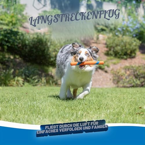 Chuckit! - Ultra Fetch Stick - 28 cm - 1 Stück