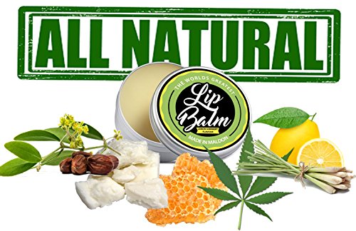 Lip Balm Lemon Sherbet Flavored 15ml – Natural And Organic Ingredients - Shea Butter Beeswax Jojoba & Hemp Seed Oil – Soothes & Hydrates Dry Lips – Natural Lip Care - Image 3