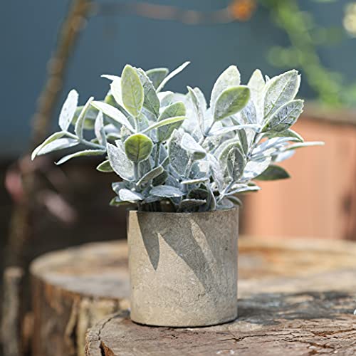 Miracliy Mini Potted Fake Plants Faux Artificial Eucalyptus Boxwood Rosemary Greenery In Gray Pots For Home Office Desk Bathroom Decoration Garden Decor, Indoor & Outdoor,Set Of 4 #TOP2