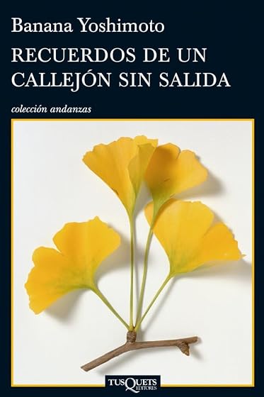 Recuerdos de un callejón sin salida