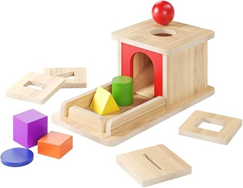 Luttz Caja de permanencia de objetos con bandeja 6 en 1 juguetes para niños pequeños juguetes Montessori para niños y niñas juguetes para niños de 1