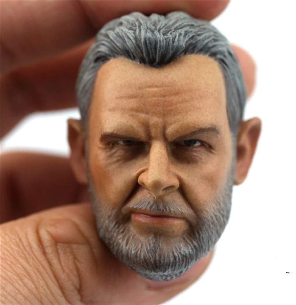 HiPlay 1/6 Scale Male Figure Head Sculpt, Handsome Men