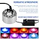 Miawtro Ultraschall Vernebler, 24v Mini Nebelmaschine Aquarium Mit 12 LED-Lichtern, Edelstahl-Zerstäuber Für Teich, Aquarium, Garten, Halloween-Deko Und Hexentopf,Türtyp Europäischer Standard