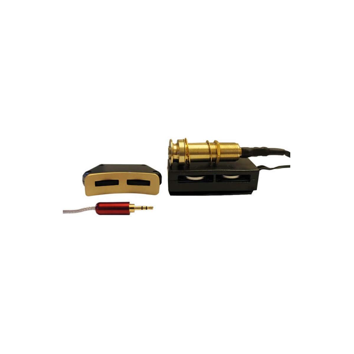 Santana-T200 - Pickup system for Acoustic Guitar, Natural