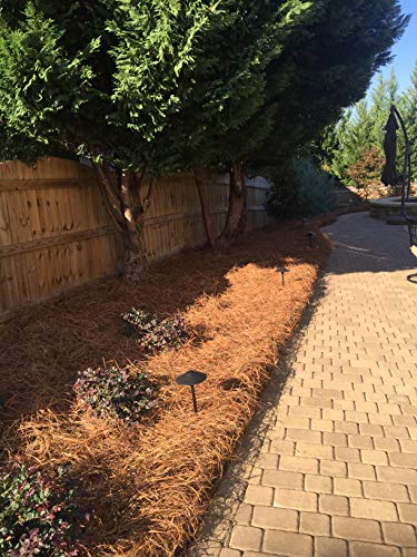 Usa Pine Straw - Pine Needle Mulch - Premium Long Needle - Covers Up To 2400 Sqft (1) #TOP2