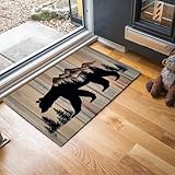 Matériau confortable : Fabriqué en fibres durables et écologiques à haute densité, ce tapis lavable est agréable au toucher et protège vos pieds du froid. Les fibres retiennent la poussière, la boue et le sable, gardant vos sols propres. Léger et facile à déplacer, il est parfait pour les foyers avec enfants et animaux.